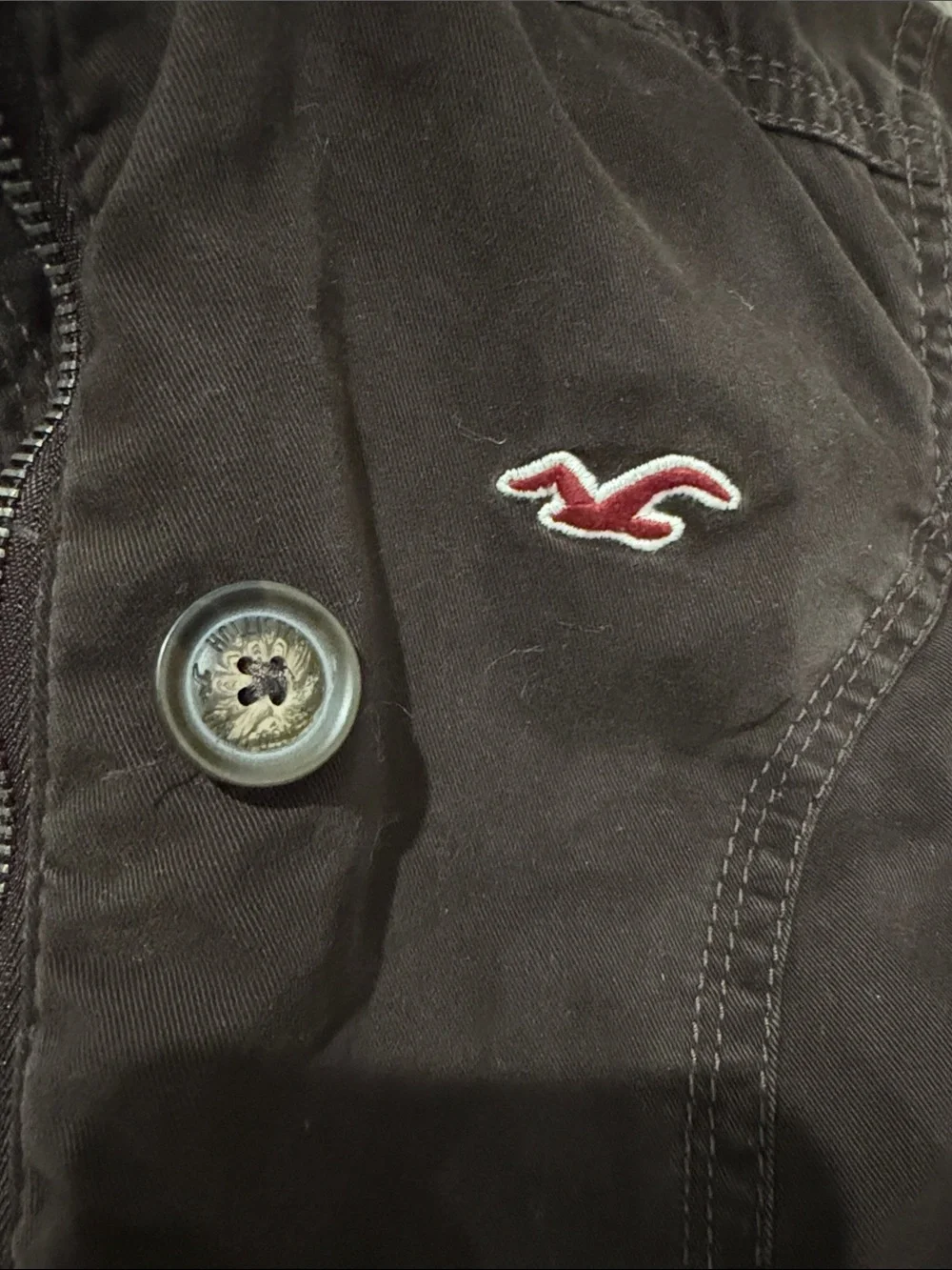 Hollister iconic y2k